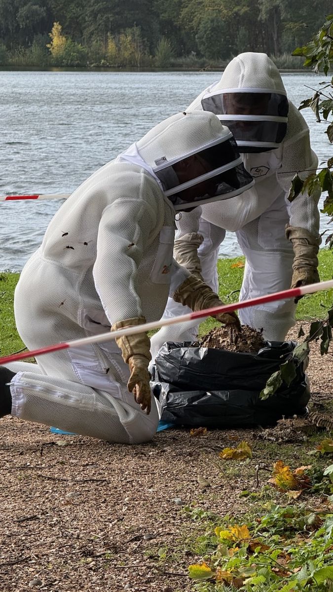 Twee vrijwilligers in beschermende pakken doen het nest in een vuilniszak, met het water van Te Werve op de achtergrond